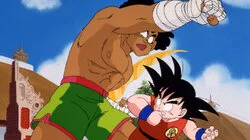 Goku Enters the Ring