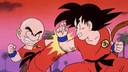 Goku vs. Krillin
