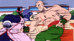 Tien Shinhan vs. Mercenary Tao
