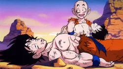 Picking Up the Pieces