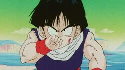 Let the Battle Begin