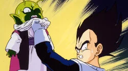 Piccolo's Return
