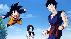 Take Flight, Videl