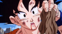 Find the Dragonballs