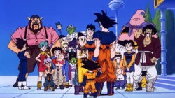 Celebrations with Majin Buu