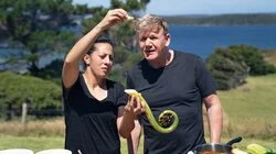 New Zealand's Rugged South