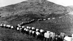 Buried Secrets of the Gold Rush