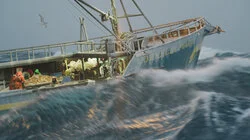 Crane Wreck