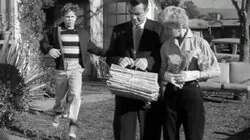The Paper Route