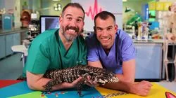 There's a Lizard in the Lab