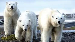 At the Edge of the Earth - Alaska