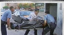 Cooked: Survival by Zip Code