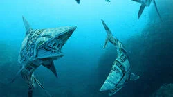 Easy Treezy, Beardaments, Kit Lender, Little Elf