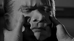 The Hundred Days of the Dragon