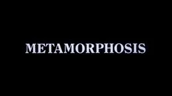 Metamorphosis