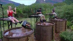 The Call of the Wild