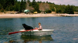 The Oak Island Curse