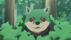 Dogs Are The Best Friends of Humans