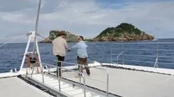 The Fortune of the Buzzard