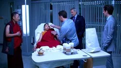 Lama Trauma