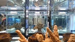 Marine Biology, Moon Rock, and Molecules