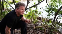 Guyana's Wild Jungles