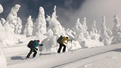 Hakkoda's Backcountry Magic