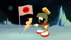 Marvin Flag