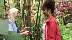 Movement, Microscopes, and Mechanical Engineering