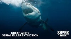 Great White Serial Killer Extinction