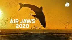 Air Jaws 2020