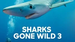 Sharks Gone Wild 3