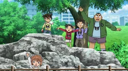 The Case on the Opposite Shore