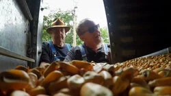 Hard Times Make the Best Shine