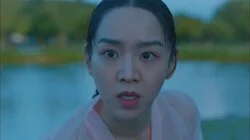 Between Understanding and Misunderstanding