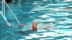 Swimming with Sharks