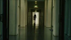 Don't Ask, Don't Tell