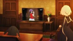 The Acoustic SAGA of Love and Youth