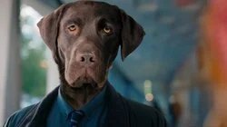 Tel maître, tel chien