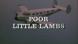 Poor Little Lambs