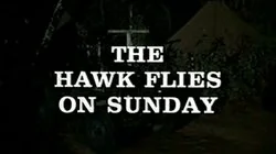 The Hawk Flies on Sunday