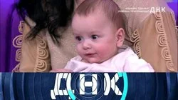 Выпуск 531. Альфонс "сделал" ребёнка стриптизёрше?