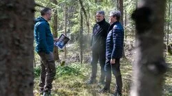 Hvem var Nittedalsmannen?