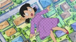 Flying Cap / Saki Bird