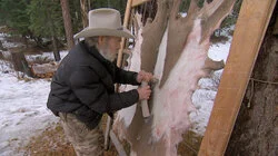 Welcome to the Tundra