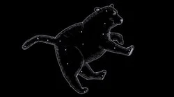 The Great Bear
