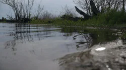 The Voice in the Lake