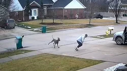 Home Sweet Home or Battlezone?