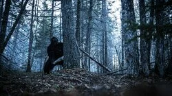 Bigfoot Island and Aliens of Kodiak