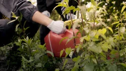 The Smallest of Clues